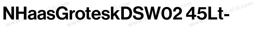 NHaasGroteskDSW02 45Lt字体转换